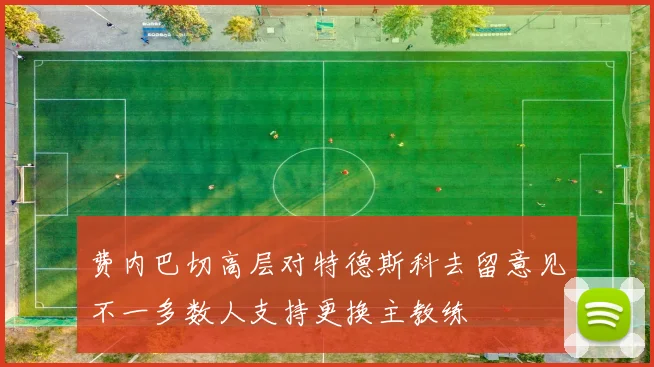 费内巴切高层对特德斯科去留意见不一多数人支持更换主教练