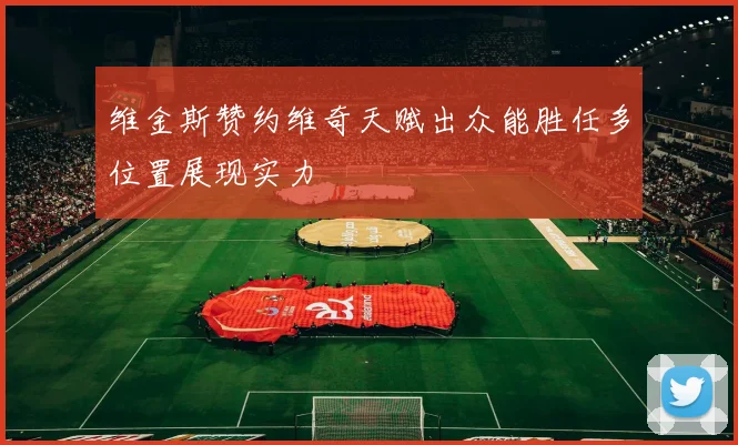 维金斯赞约维奇天赋出众能胜任多位置展现实力